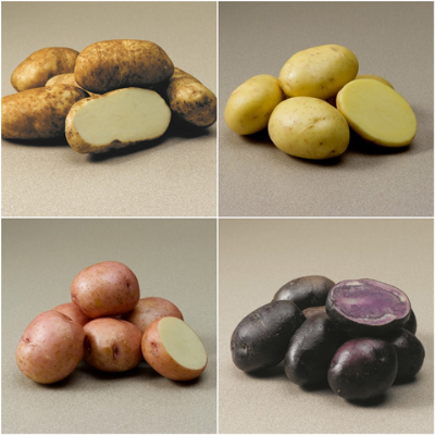 Potato-03.jpg.png